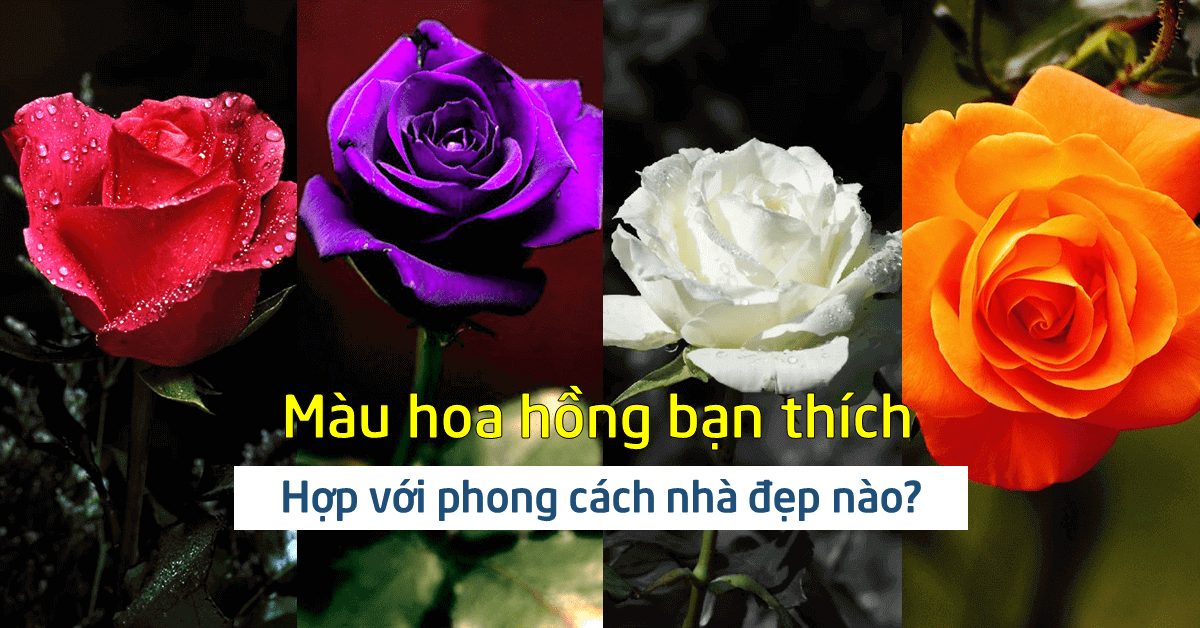 Phúc Đạt Door