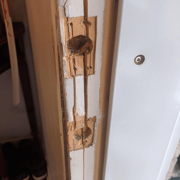 Phúc Đạt Door