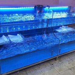 Lắp đặt bể cá biển, bể cá nhà hàng hải sản kính cường lực (Giá Rẻ)